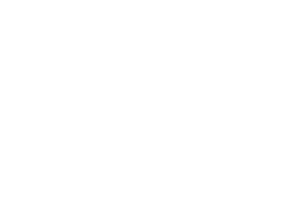 The Governor's Place